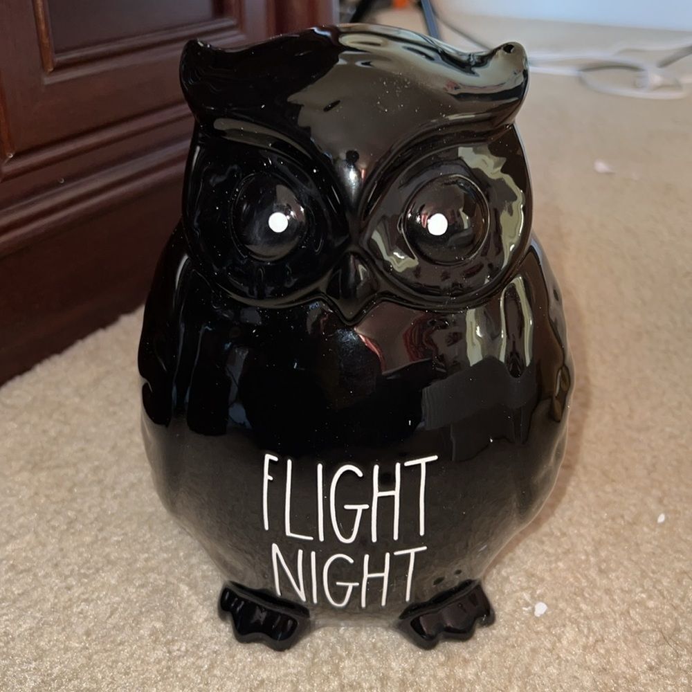 RAE DUNN,Ceramic flightnight  Owl NIB